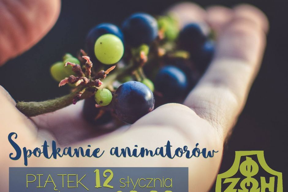 Spotkanie Animatorów - styczeń