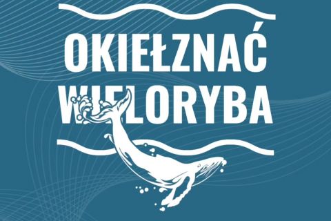 Rekolekcje ewangelizacyjne, Okiełznać Wieloryba