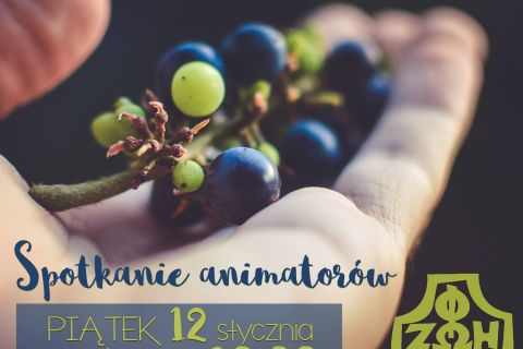 Spotkanie Animatorów - styczeń