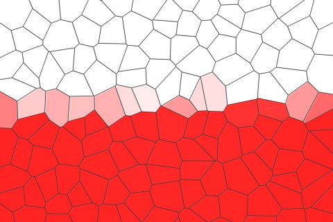 Słowo na Narodowe Święto Niepodległości