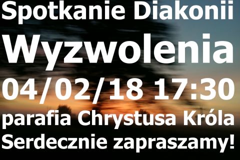 Spotkanie Diecezjalnej Diakonii Wyzwolenia - luty