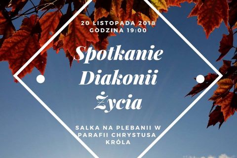 Spotkanie Diecezjalnej Diakonii Życia - listopad